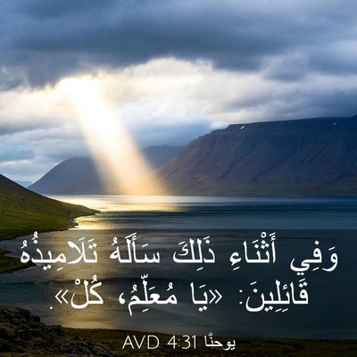 Picture 03 - يوحنَّا 4:31 AVD - وَفِي أَثْنَاءِ ذَلِكَ - Bible Verse Picture