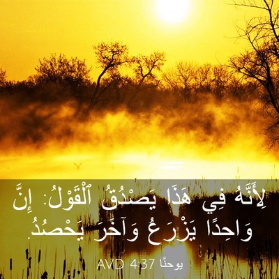 Picture 03 - يوحنَّا 4:37 AVD - لِأَنَّهُ فِي هَذَا - Bible Verse Picture