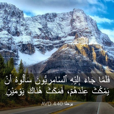 Picture 03 - يوحنَّا 4:40 AVD - فَلَمَّا جَاءَ إِلَيْهِ - Bible Verse Picture