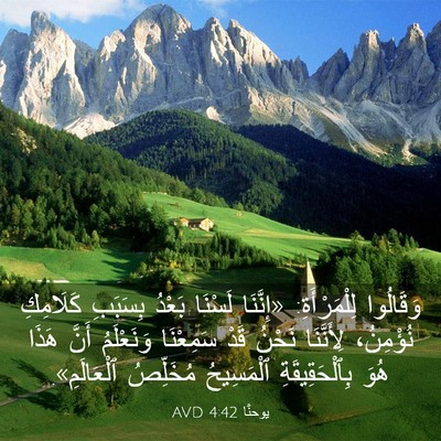 Picture 03 - يوحنَّا 4:42 AVD - وَقَالُوا لِلْمَرْأَةِ: - Bible Verse Picture