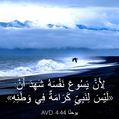 Picture 03 - يوحنَّا 4:44 AVD - لِأَنَّ يَسُوعَ نَفْسَهُ - Bible Verse Picture