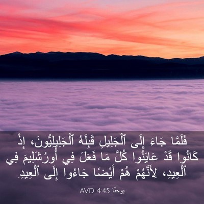 Picture 03 - يوحنَّا 4:45 AVD - فَلَمَّا جَاءَ إِلَى - Bible Verse Picture