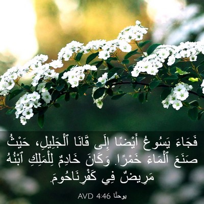 Picture 03 - يوحنَّا 4:46 AVD - فَجَاءَ يَسُوعُ أَيْضًا - Bible Verse Picture