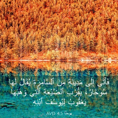 Picture 03 - يوحنَّا 4:5 AVD - فَأَتَى إِلَى مَدِينَةٍ - Bible Verse Picture