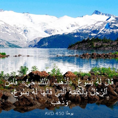 Picture 03 - يوحنَّا 4:50 AVD - قَالَ لَهُ يَسُوعُ: - Bible Verse Picture