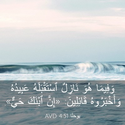 Picture 03 - يوحنَّا 4:51 AVD - وَفِيمَا هُوَ نَازِلٌ - Bible Verse Picture