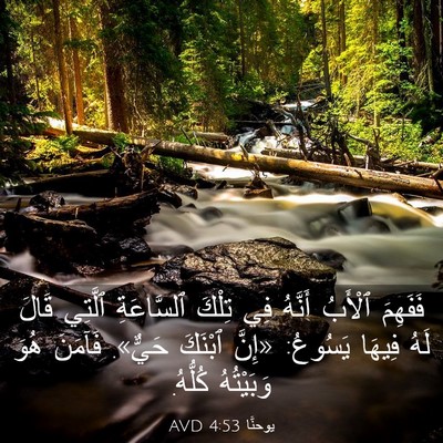Picture 03 - يوحنَّا 4:53 AVD - فَفَهِمَ ٱلْأَبُ أَنَّهُ - Bible Verse Picture