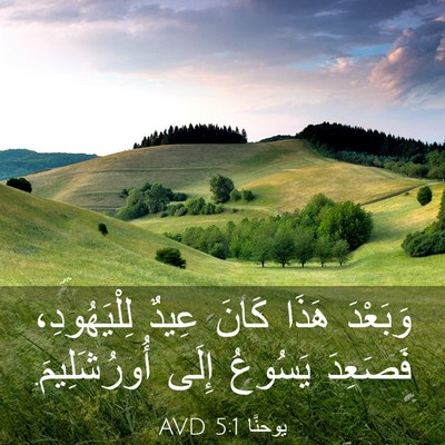 Picture 03 - يوحنَّا 5:1 AVD - وَبَعْدَ هَذَا كَانَ عِيدٌ - Bible Verse Picture