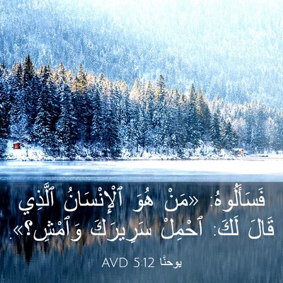 Picture 03 - يوحنَّا 5:12 AVD - فَسَأَلُوهُ: «مَنْ هُوَ - Bible Verse Picture