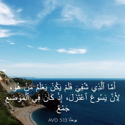 Picture 03 - يوحنَّا 5:13 AVD - أَمَّا ٱلَّذِي شُفِيَ - Bible Verse Picture