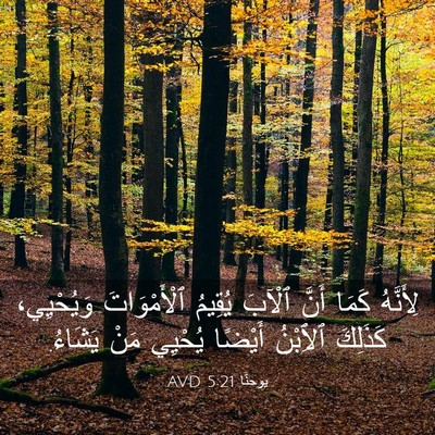 Picture 03 - يوحنَّا 5:21 AVD - لِأَنَّهُ كَمَا أَنَّ - Bible Verse Picture