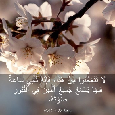 Picture 03 - يوحنَّا 5:28 AVD - لَا تَتَعَجَّبُوا مِنْ - Bible Verse Picture