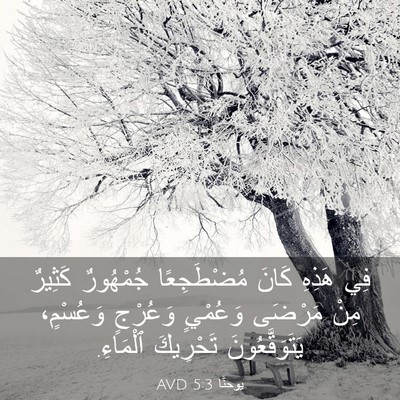 Picture 03 - يوحنَّا 5:3 AVD - فِي هَذِهِ كَانَ - Bible Verse Picture