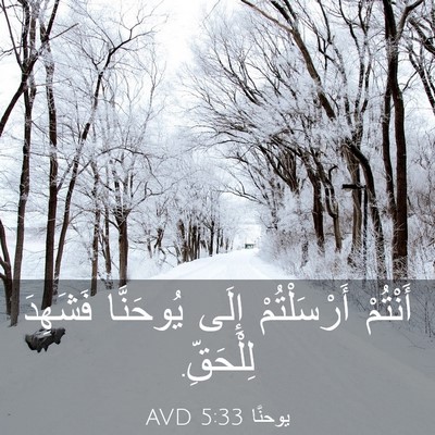 Picture 03 - يوحنَّا 5:33 AVD - أَنْتُمْ أَرْسَلْتُمْ - Bible Verse Picture