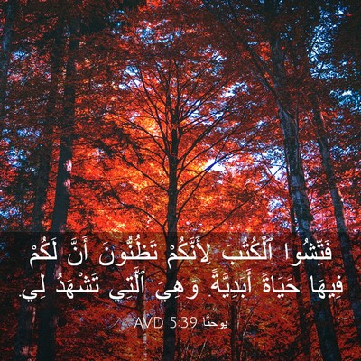 Picture 03 - يوحنَّا 5:39 AVD - فَتِّشُوا ٱلْكُتُبَ - Bible Verse Picture