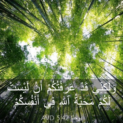Picture 03 - يوحنَّا 5:42 AVD - وَلَكِنِّي قَدْ - Bible Verse Picture