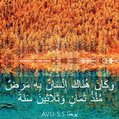 Picture 03 - يوحنَّا 5:5 AVD - وَكَانَ هُنَاكَ إِنْسَانٌ - Bible Verse Picture