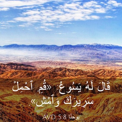 Picture 03 - يوحنَّا 5:8 AVD - قَالَ لَهُ يَسُوعُ: «قُمِ. - Bible Verse Picture