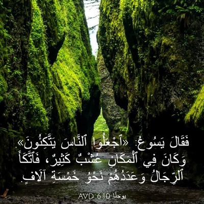 Picture 03 - يوحنَّا 6:10 AVD - فَقَالَ يَسُوعُ: - Bible Verse Picture
