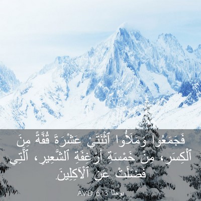 Picture 03 - يوحنَّا 6:13 AVD - فَجَمَعُوا وَمَلَأُوا - Bible Verse Picture