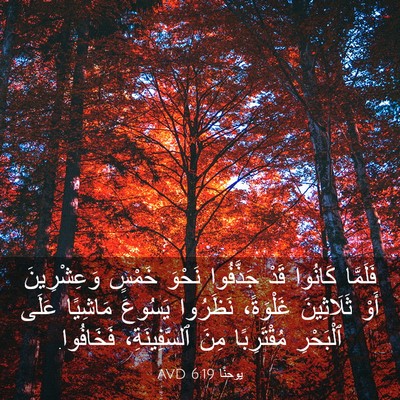 Picture 03 - يوحنَّا 6:19 AVD - فَلَمَّا كَانُوا قَدْ - Bible Verse Picture