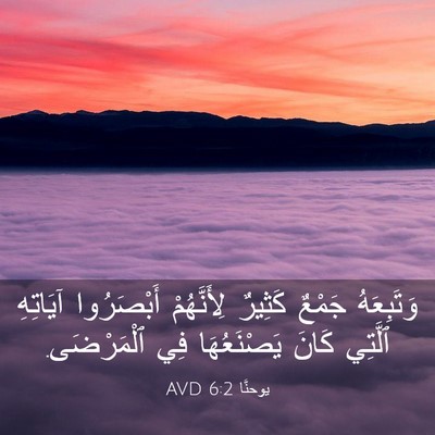 Picture 03 - يوحنَّا 6:2 AVD - وَتَبِعَهُ جَمْعٌ كَثِيرٌ - Bible Verse Picture