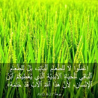 Picture 03 - يوحنَّا 6:27 AVD - اِعْمَلُوا لَا - Bible Verse Picture
