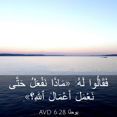 Picture 03 - يوحنَّا 6:28 AVD - فَقَالُوا لَهُ: «مَاذَا - Bible Verse Picture
