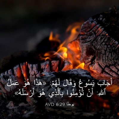 Picture 03 - يوحنَّا 6:29 AVD - أَجَابَ يَسُوعُ وَقَالَ - Bible Verse Picture