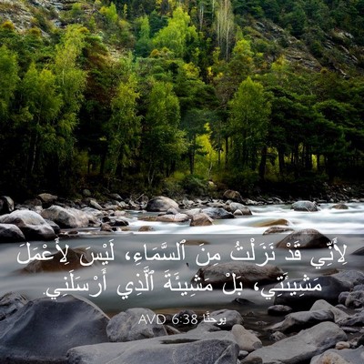 Picture 03 - يوحنَّا 6:38 AVD - لِأَنِّي قَدْ نَزَلْتُ - Bible Verse Picture