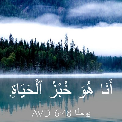 Picture 03 - يوحنَّا 6:48 AVD - أَنَا هُوَ خُبْزُ - Bible Verse Picture