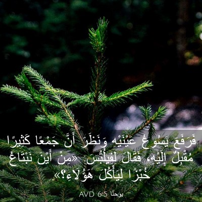 Picture 03 - يوحنَّا 6:5 AVD - فَرَفَعَ يَسُوعُ - Bible Verse Picture