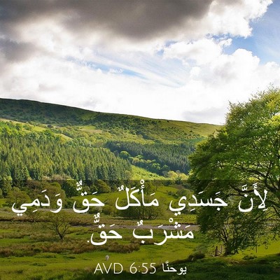 Picture 03 - يوحنَّا 6:55 AVD - لِأَنَّ جَسَدِي مَأْكَلٌ - Bible Verse Picture