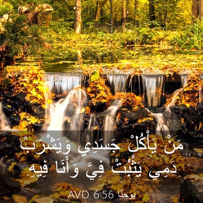 Picture 03 - يوحنَّا 6:56 AVD - مَنْ يَأْكُلْ جَسَدِي - Bible Verse Picture