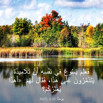 Picture 03 - يوحنَّا 6:61 AVD - فَعَلِمَ يَسُوعُ فِي - Bible Verse Picture