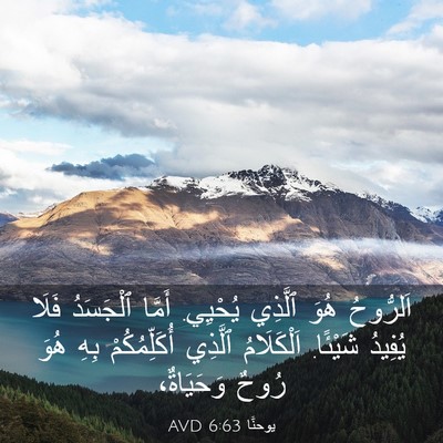 Picture 03 - يوحنَّا 6:63 AVD - اَلرُّوحُ هُوَ ٱلَّذِي - Bible Verse Picture