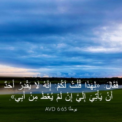 Picture 03 - يوحنَّا 6:65 AVD - فَقَالَ: «لِهَذَا قُلْتُ - Bible Verse Picture