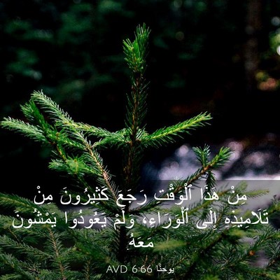 Picture 03 - يوحنَّا 6:66 AVD - مِنْ هَذَا ٱلْوَقْتِ - Bible Verse Picture