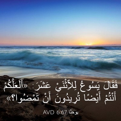 Picture 03 - يوحنَّا 6:67 AVD - فَقَالَ يَسُوعُ - Bible Verse Picture