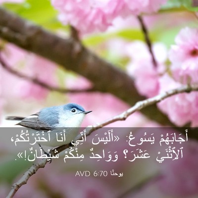 Picture 03 - يوحنَّا 6:70 AVD - أَجَابَهُمْ يَسُوعُ: - Bible Verse Picture