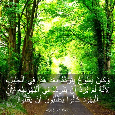 Picture 03 - يوحنَّا 7:1 AVD - وَكَانَ يَسُوعُ - Bible Verse Picture