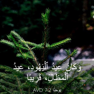 Picture 03 - يوحنَّا 7:2 AVD - وَكَانَ عِيدُ ٱلْيَهُودِ، - Bible Verse Picture