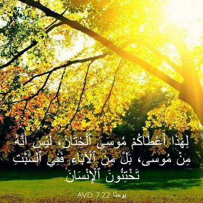 Picture 03 - يوحنَّا 7:22 AVD - لِهَذَا أَعْطَاكُمْ - Bible Verse Picture