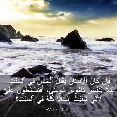 Picture 03 - يوحنَّا 7:23 AVD - فَإِنْ كَانَ ٱلْإِنْسَانُ - Bible Verse Picture