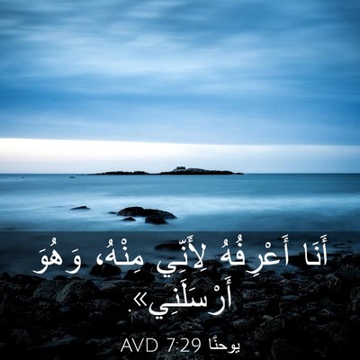 Picture 03 - يوحنَّا 7:29 AVD - أَنَا أَعْرِفُهُ لِأَنِّي - Bible Verse Picture