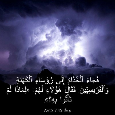 Picture 03 - يوحنَّا 7:45 AVD - فَجَاءَ ٱلْخُدَّامُ إِلَى - Bible Verse Picture