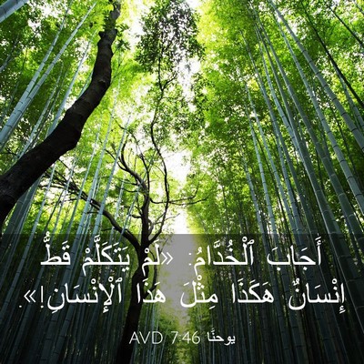 Picture 03 - يوحنَّا 7:46 AVD - أَجَابَ ٱلْخُدَّامُ: «لَمْ - Bible Verse Picture