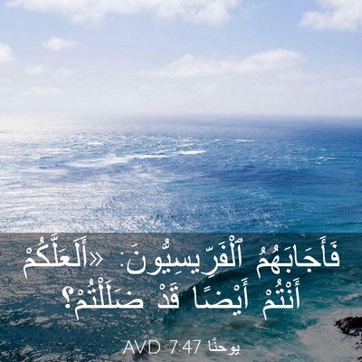 Picture 03 - يوحنَّا 7:47 AVD - فَأَجَابَهُمُ - Bible Verse Picture