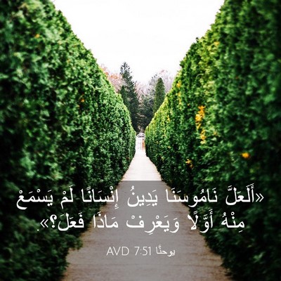 Picture 03 - يوحنَّا 7:51 AVD - «أَلَعَلَّ نَامُوسَنَا - Bible Verse Picture