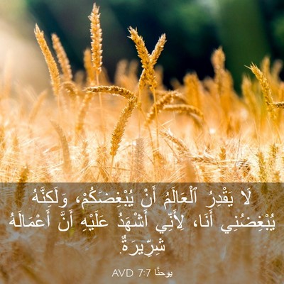 Picture 03 - يوحنَّا 7:7 AVD - لَا يَقْدِرُ ٱلْعَالَمُ - Bible Verse Picture